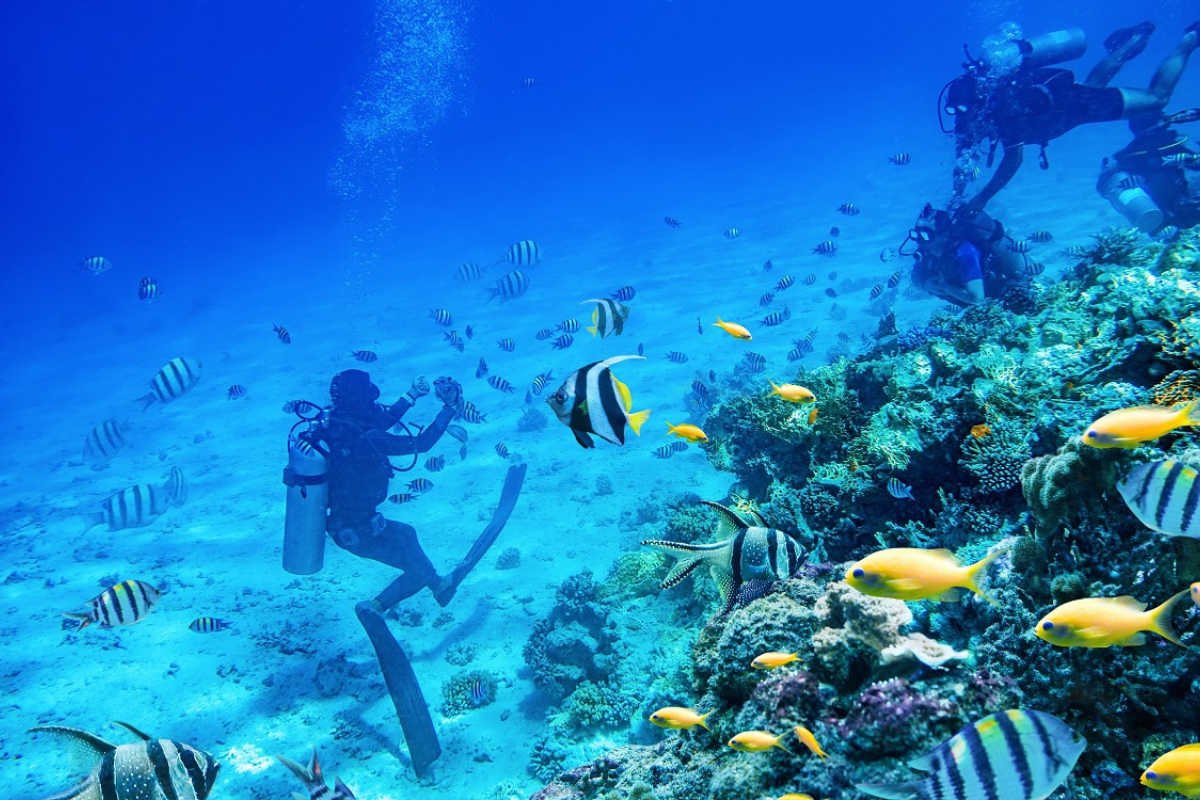 Fantastic aqua marine in Koh Chang