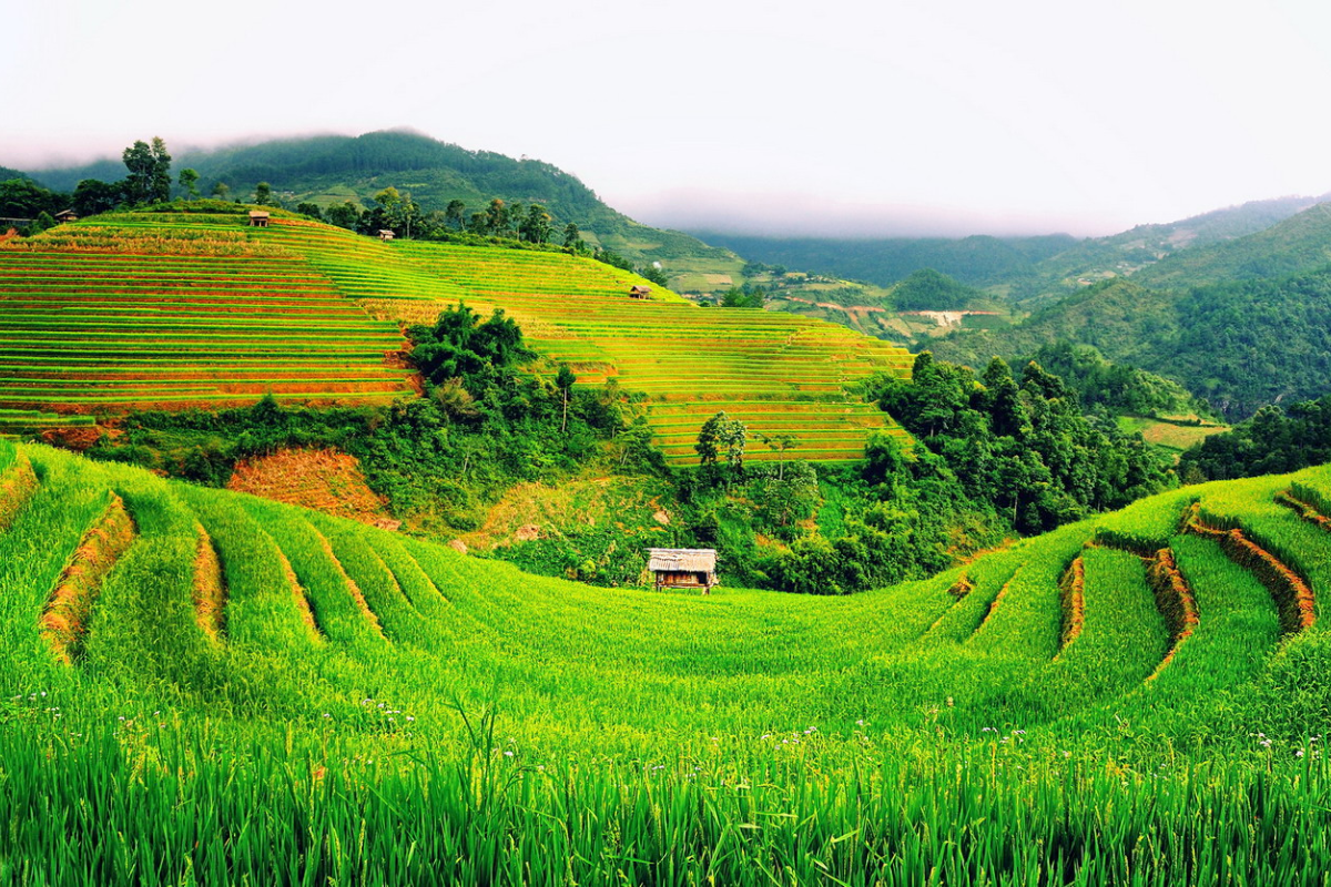 Northern Vietnam in May