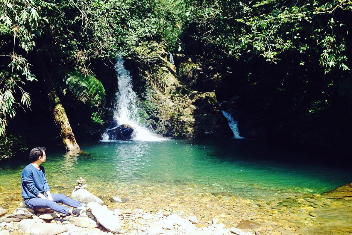 Bach Ma National Park with a hiker walking through lush greenery 
