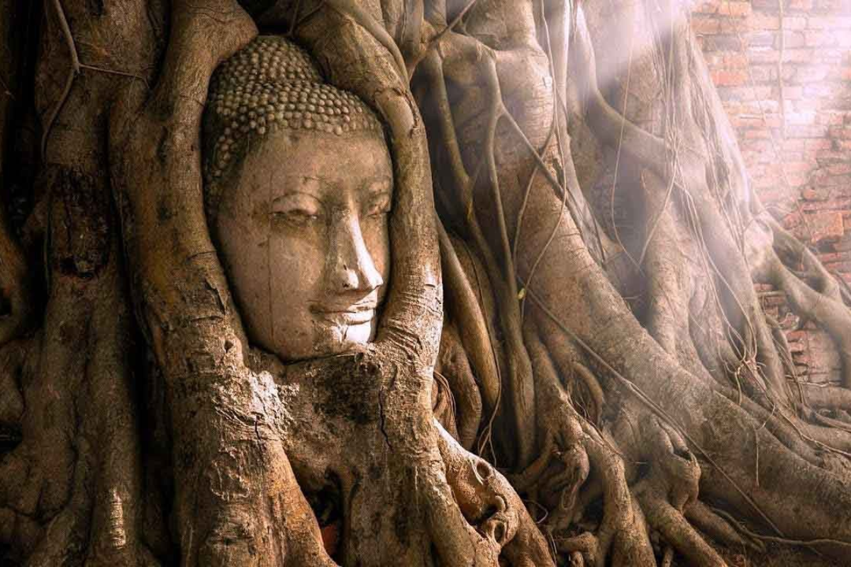 Buddha head entwined in banyan tree roots at Wat Phra Mahathat