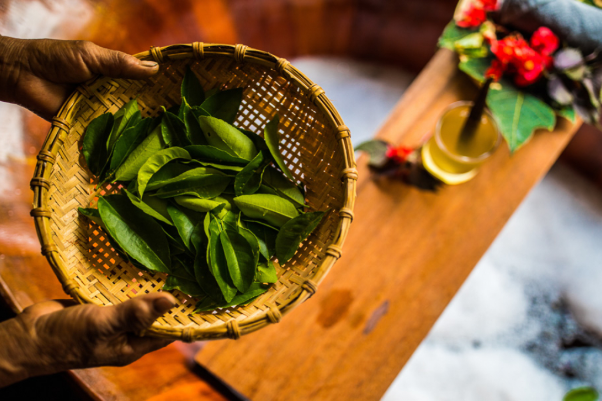 Collection of medicinal herbs used by the Red Dao for herbal baths in Sapa