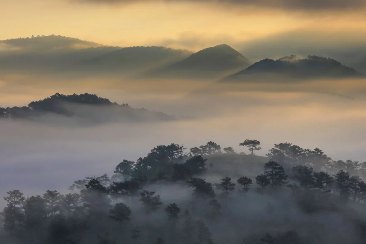 Tourists watching a sea of clouds at Da Phu Hill