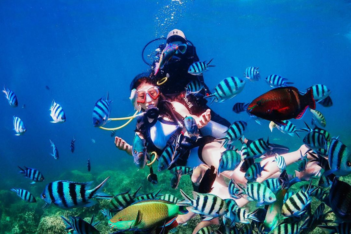Diver exploring coral reefs at Hon Mun Island