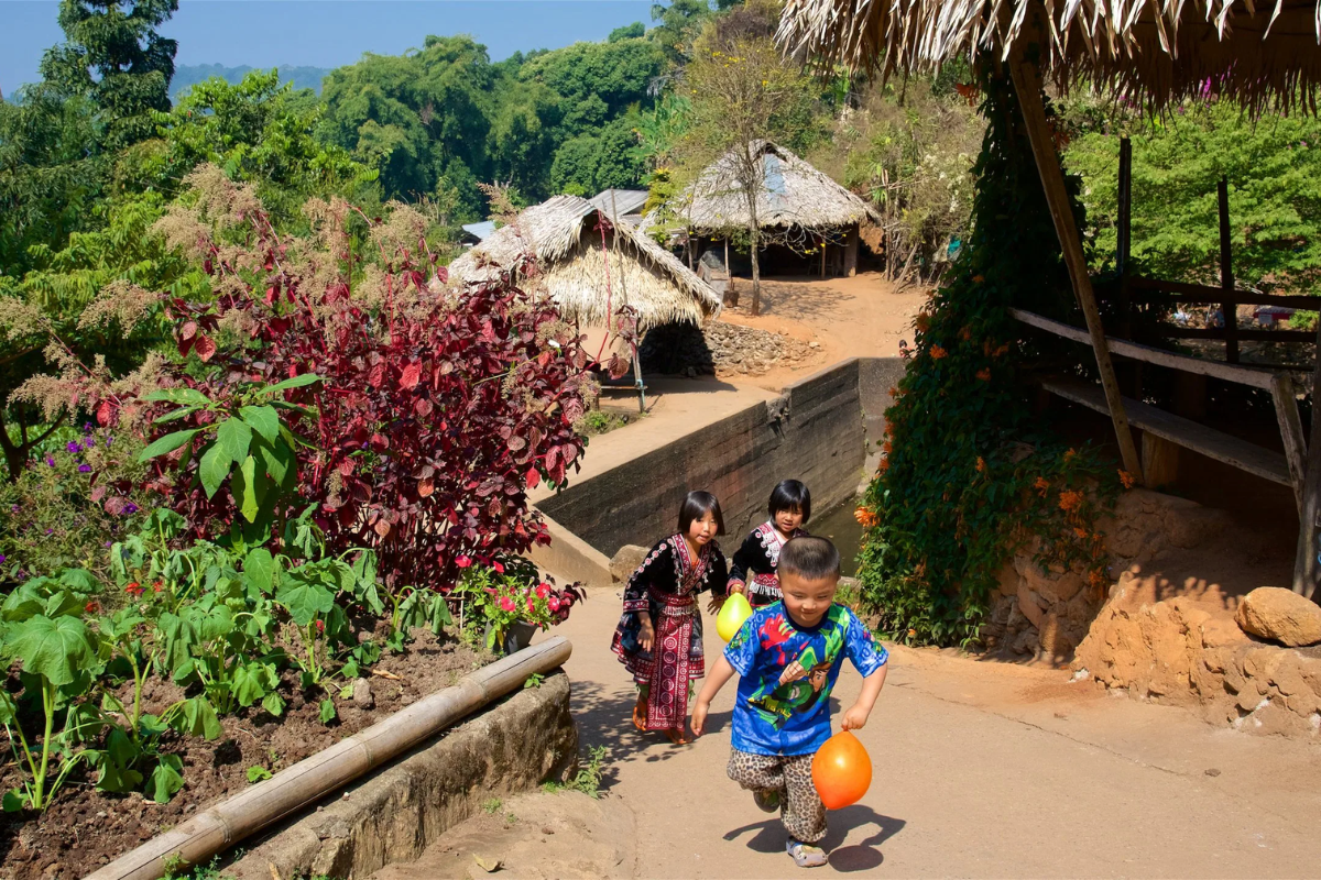 Traditional Hmong village houses surrounded by lush greenery at Doi Pui
