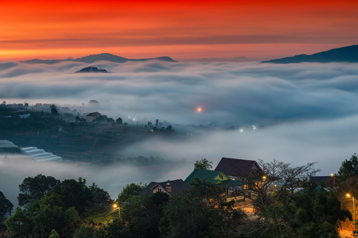 Foggy morning in Da Lat with pine trees and sunrise