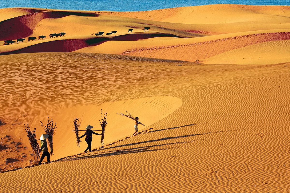 Golden sand dunes in Mui Ne with people sandboarding