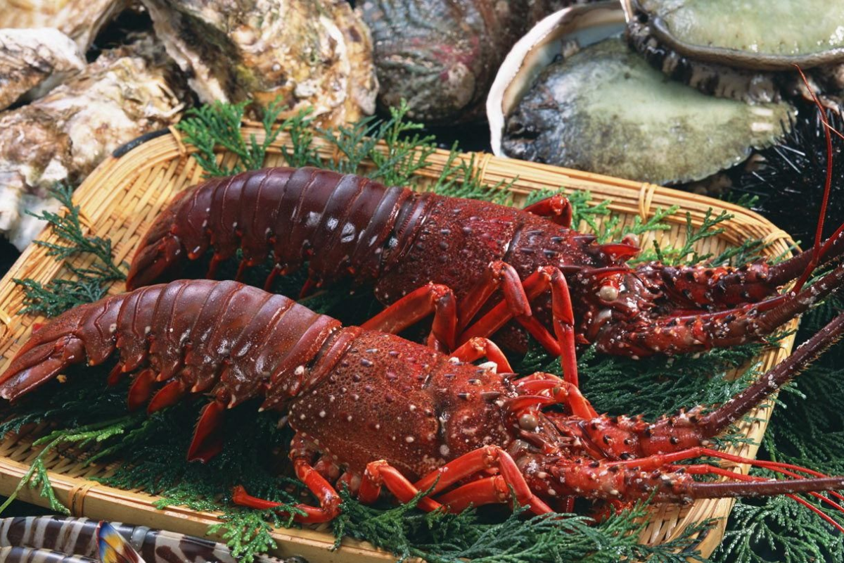Grilled Red Lobster