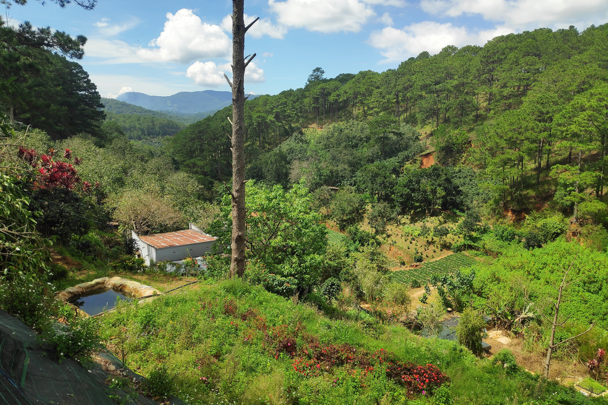 View from Langbiang Peak overlooking valleys 