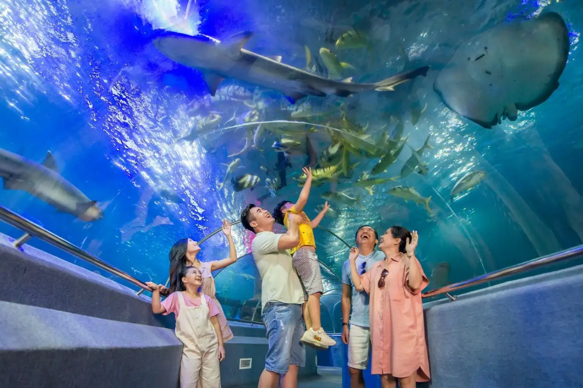 Exhibit of marine life at the National Oceanographic Museum in Nha Trang