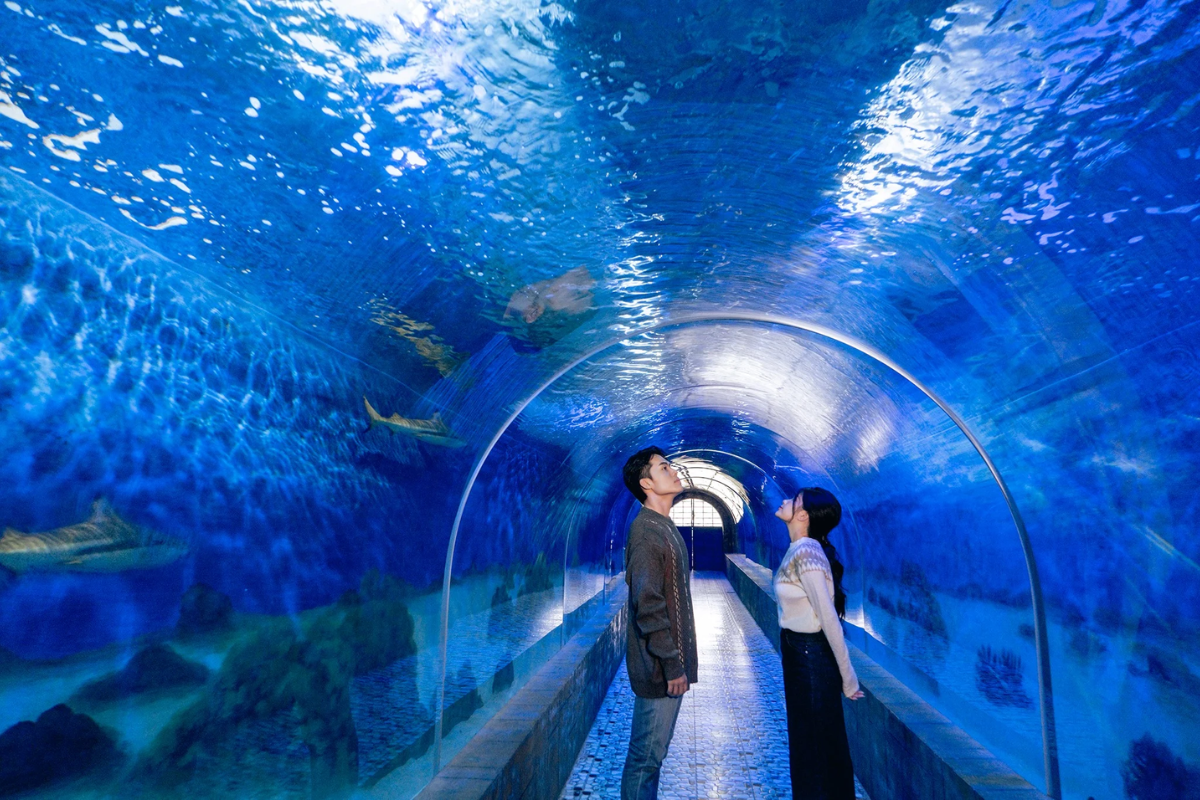 Visitors observing marine exhibits at the National Oceanographic Museum in Nha Trang