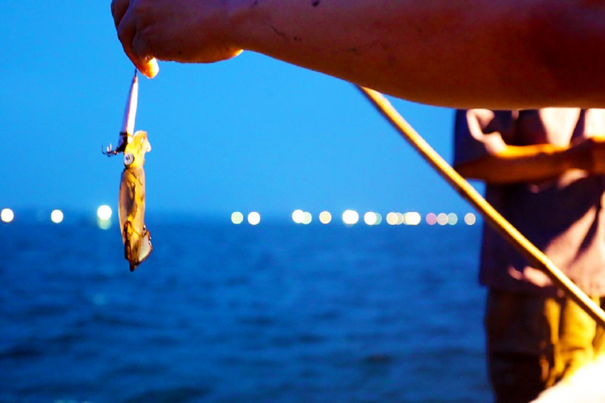 Night Squid Fishing