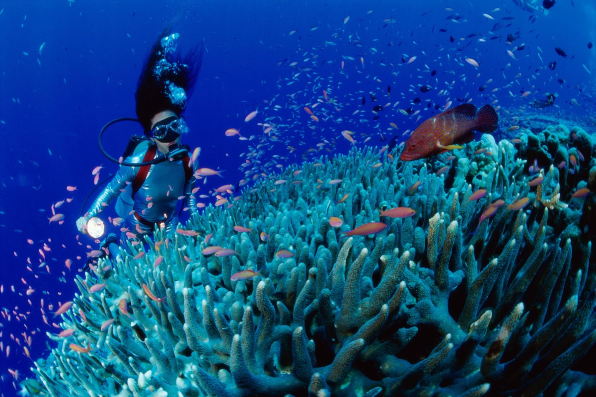 Scuba diver exploring coral reefs near Cham Islands