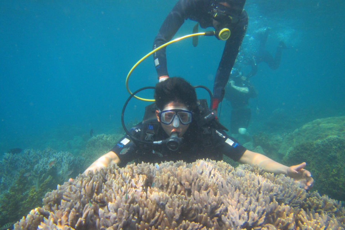 Scuba diver exploring coral reefs at Cham Islands near Hoi An