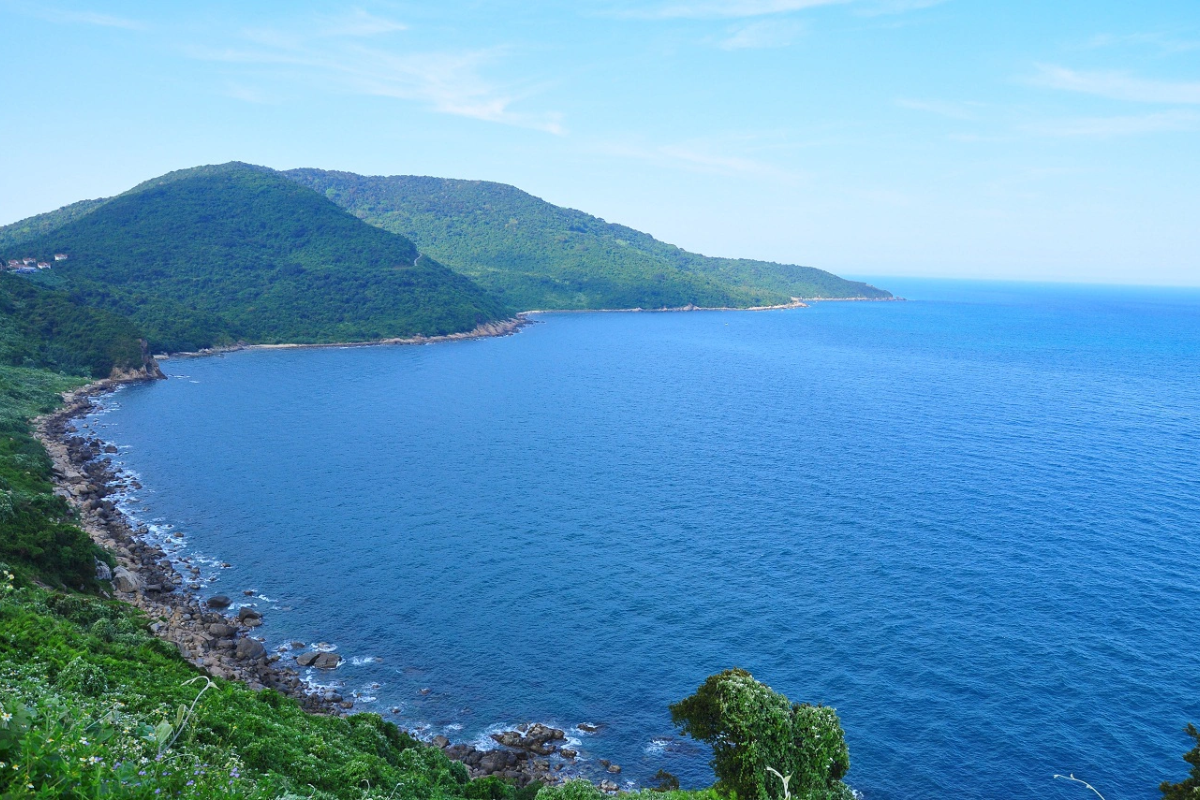 Lush greenery of Son Tra Peninsula