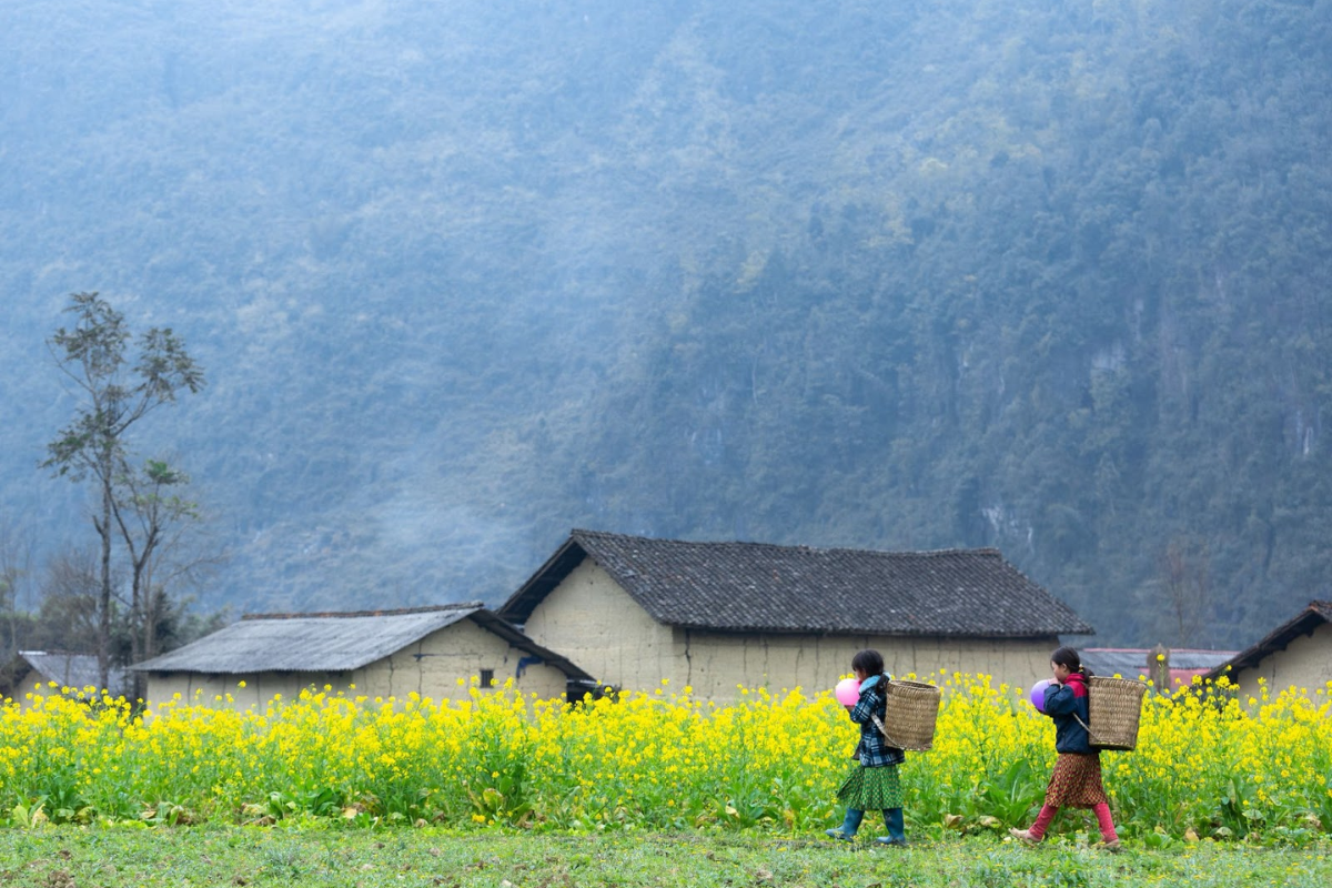 Sunny weather in Ha Giang Loop with lush green mountains