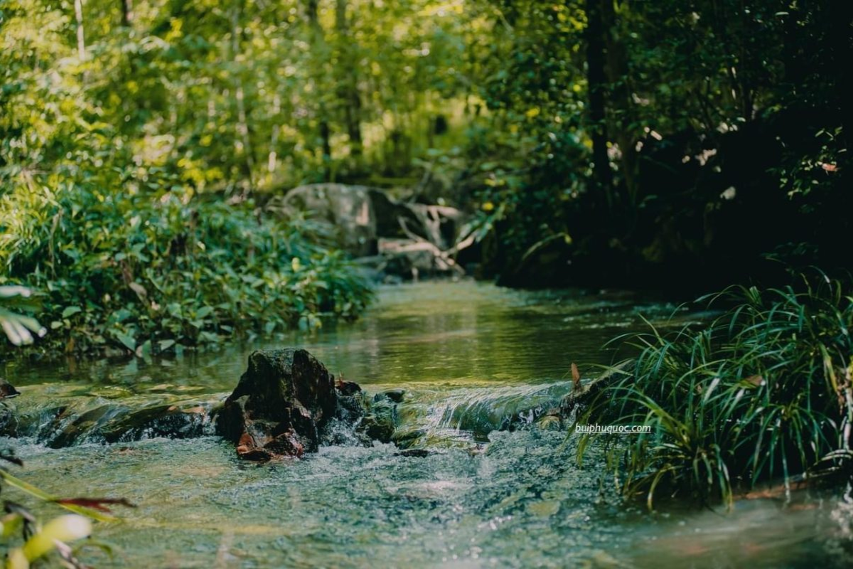 Suoi Tien Waterfall