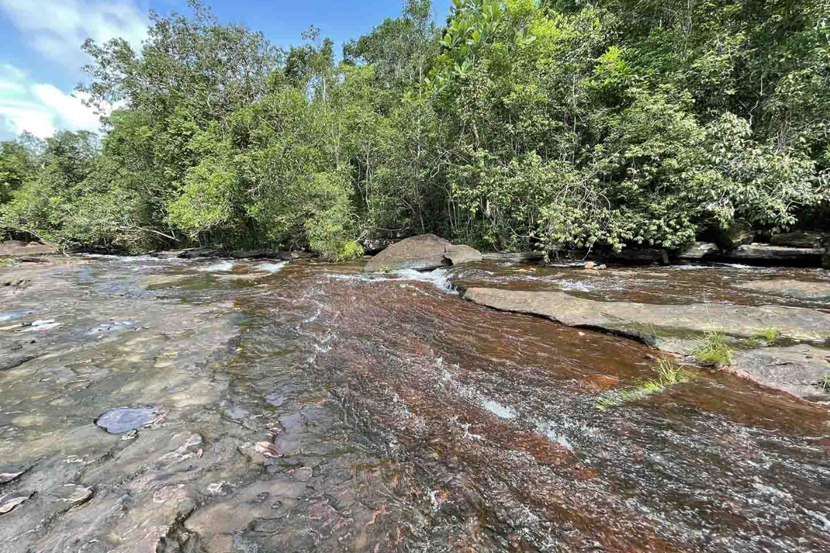 Suối Mơ Spring flowing through the jungle in Phu Quoc Island