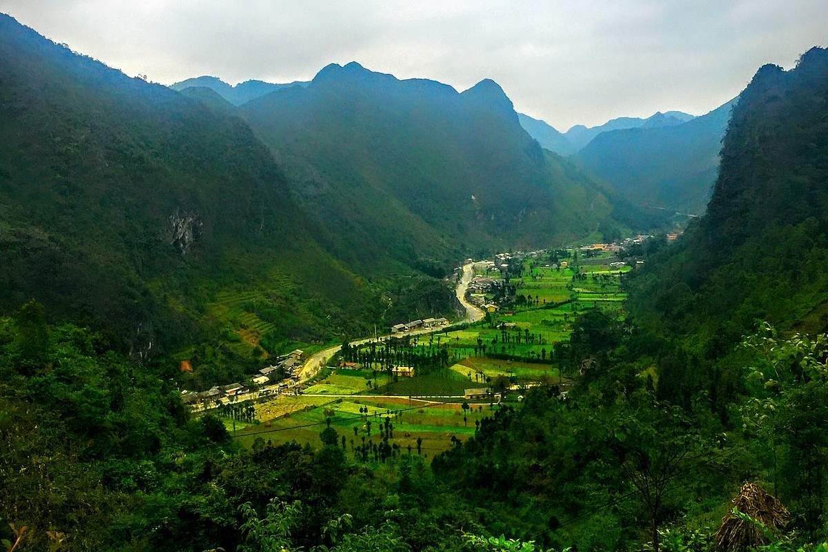 A scenic view of Sủng Là Valley surrounded by rocky mountains and vibrant flower fields.