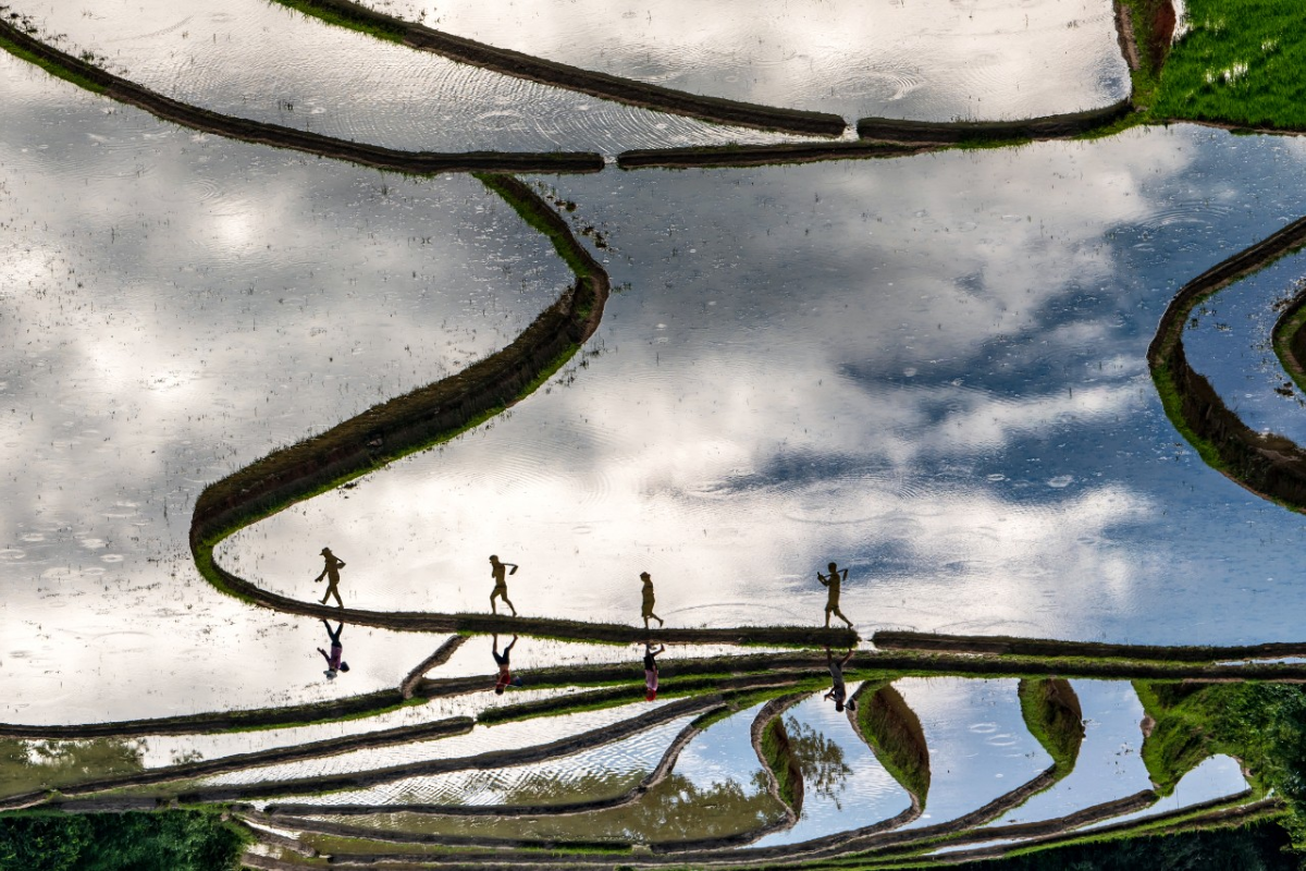 Terraced fields in Hoang Su Phi reflecting the sky during water season