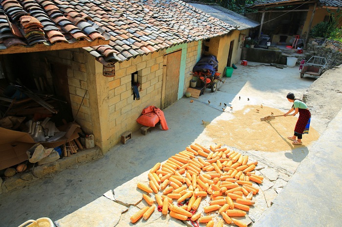 The people in Thèn Pả Village have started engaging in community-based tourism. Photo: Hồng Vĩnh