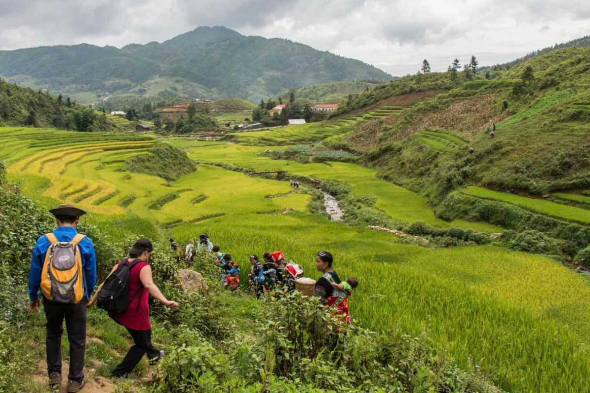 Tourists trekking through scenic Sapa trails in July