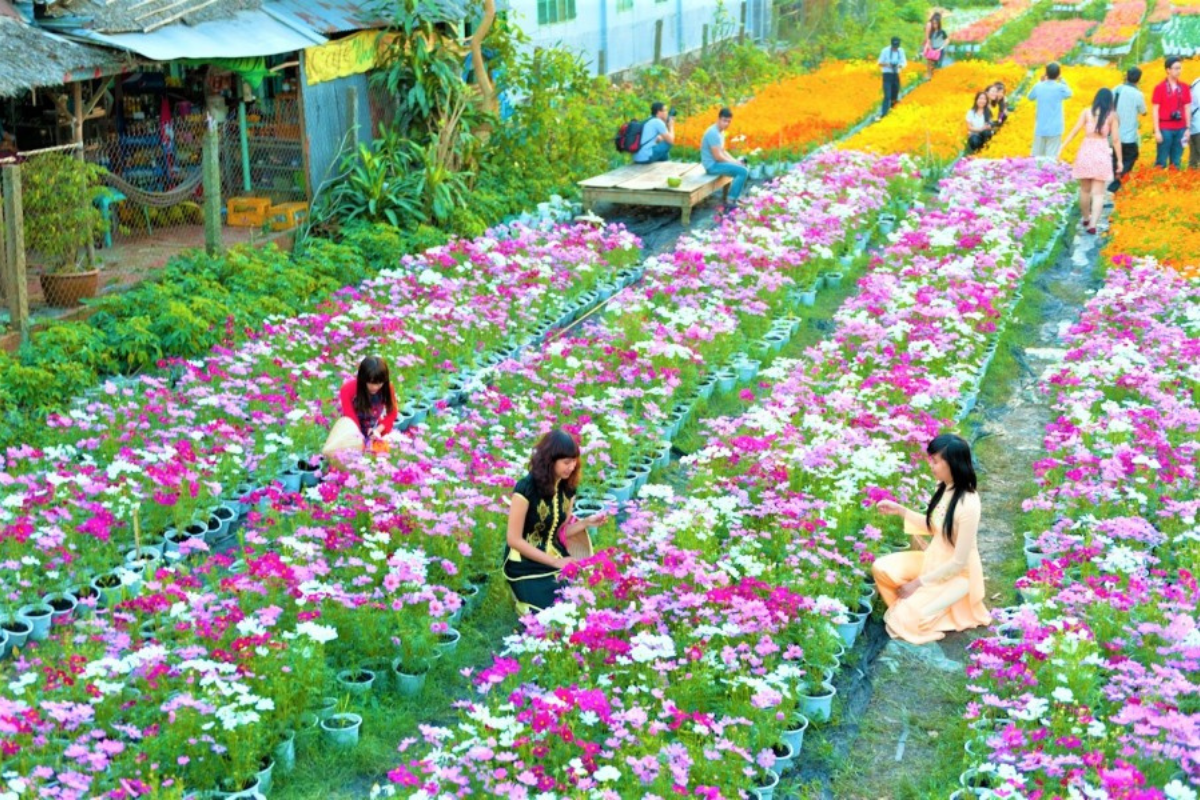 Entrance Fees Da Lat Valley of Love