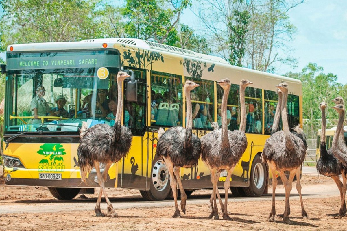 Visitors observing wildlife at Vinpearl Safari Phu Quoc