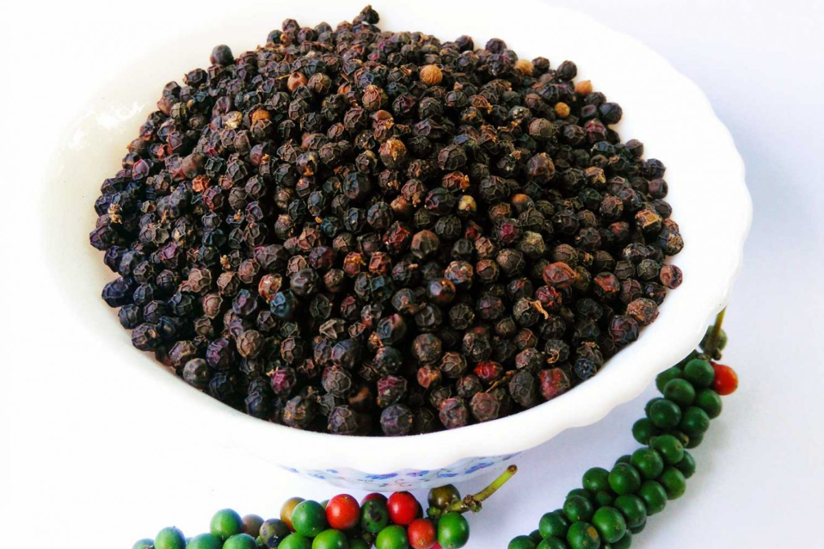 Black pepper Phu Quoc