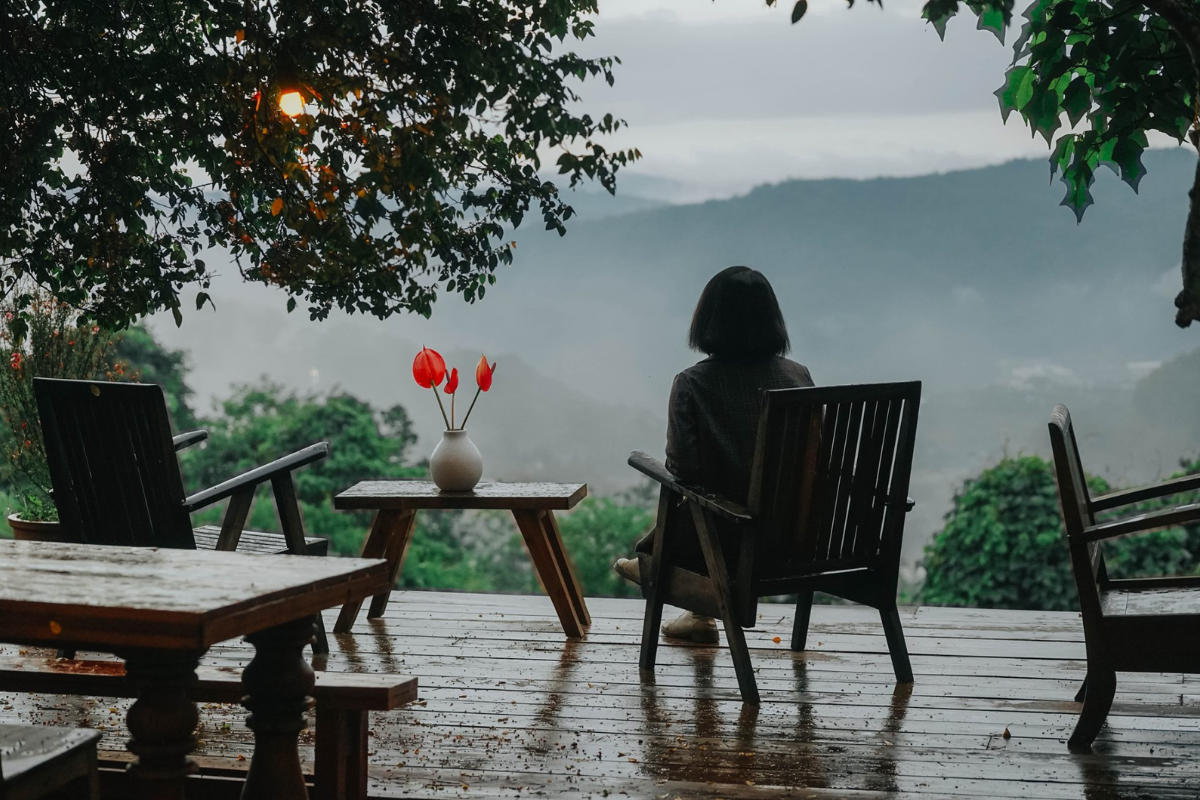A view from a hillside café in Da Lat showing mist and rain over the pine forest