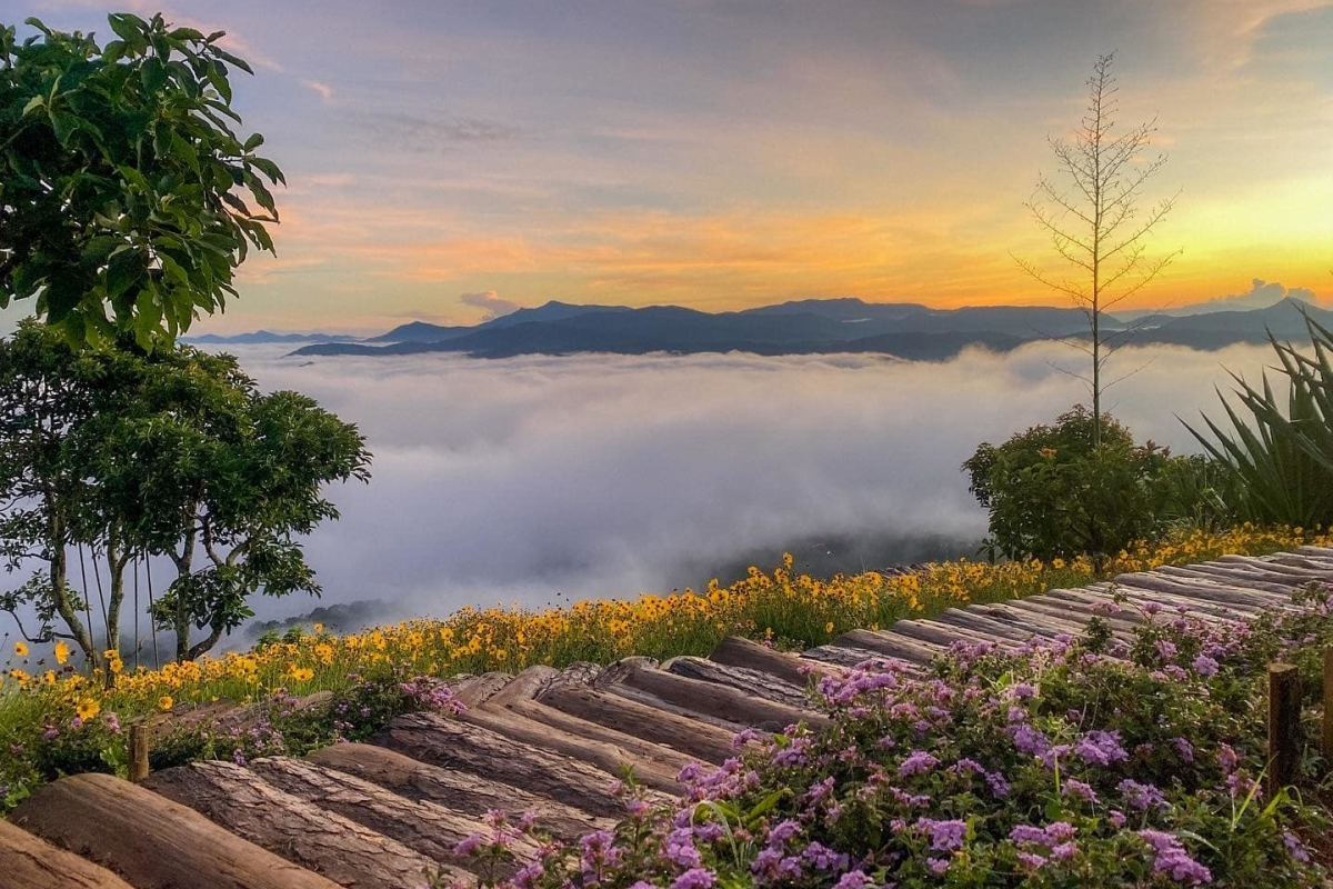 Misty hills  in Da Lat during June