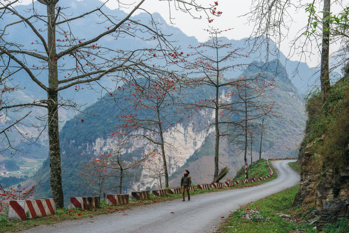 Ha Giang mountain view in March