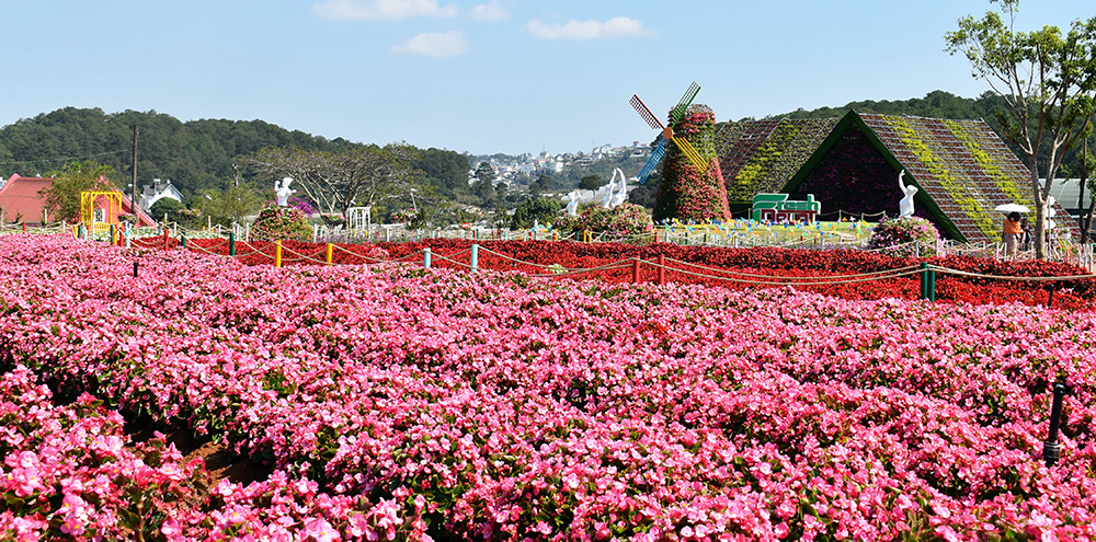 Van Thanh flower village