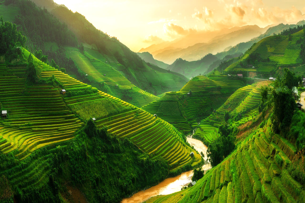 Beautiful view of Sapa with lush green rice terraces in July