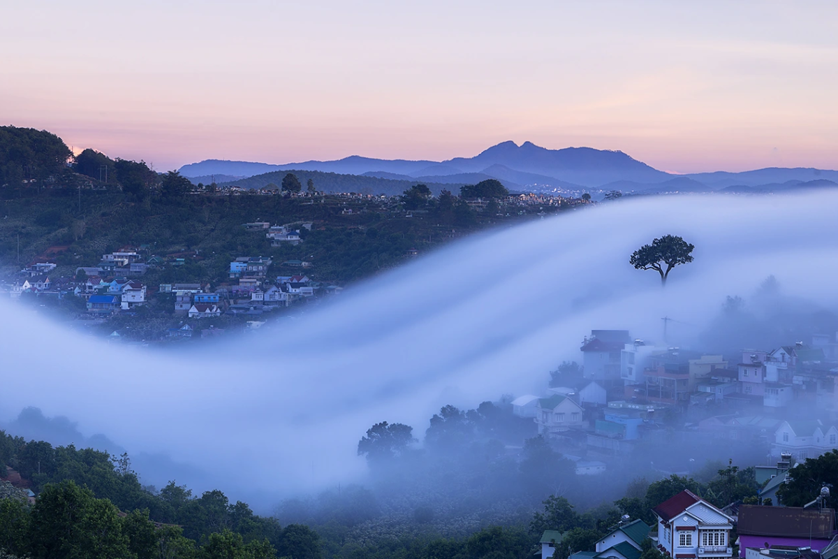 Misty morning landscape of Da Lat in March with pine trees and rolling hills