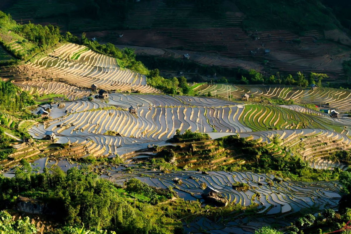Terraced rice fields in Sapa during the water-pouring season in April