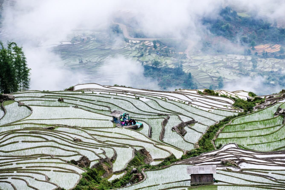 Lush rice terraces in Sapa, Vietnam