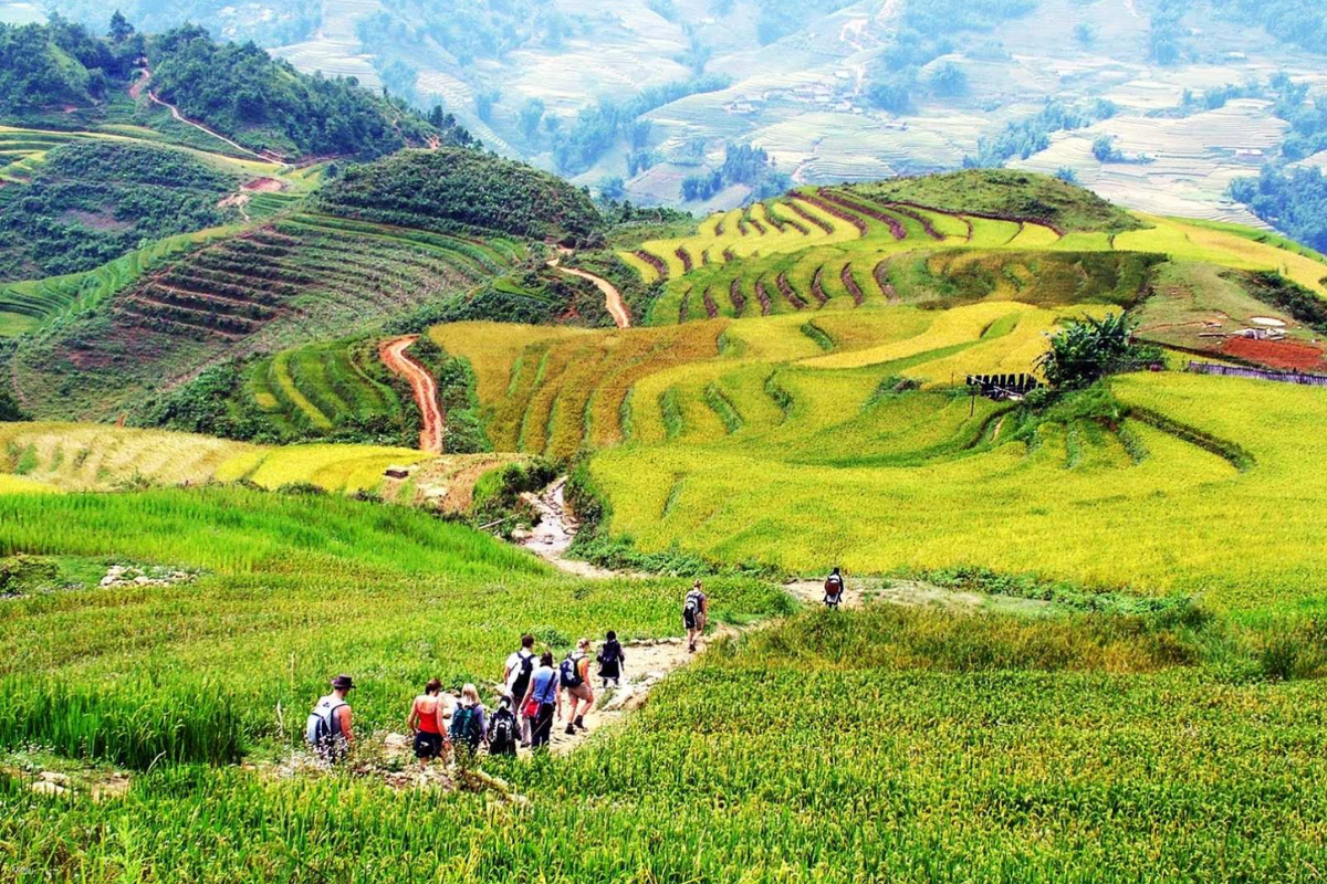 Tourists trekking through scenic trails in Sapa