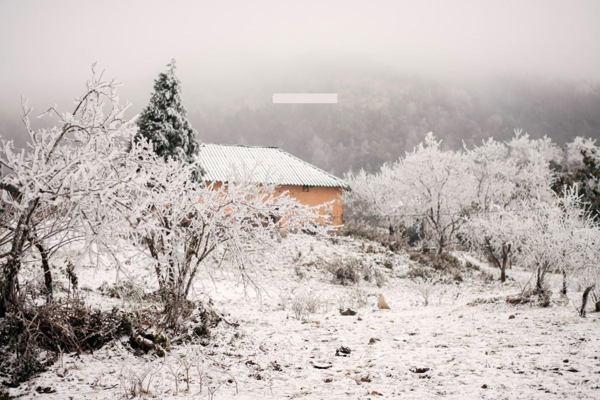 Snow-covered landscape in Sapa Vietnam