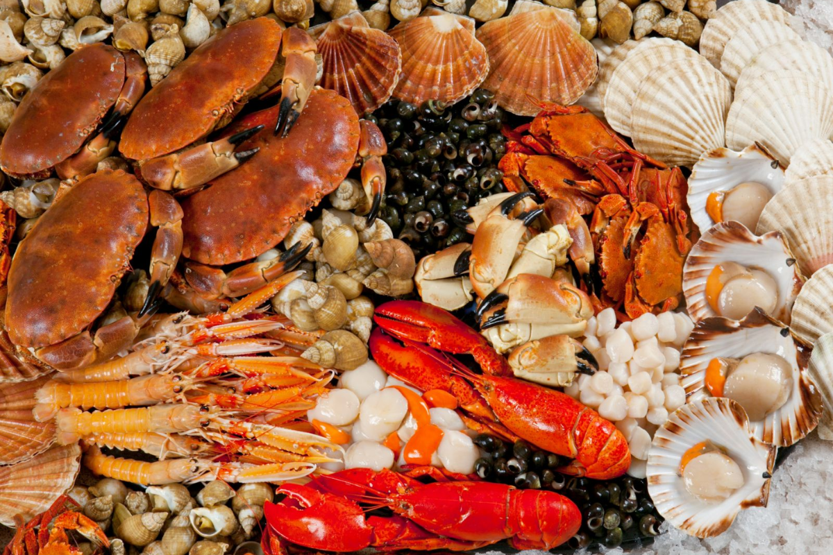 Plate of grilled seafood specialties served in an outdoor Ha Long Bay restaurant in April