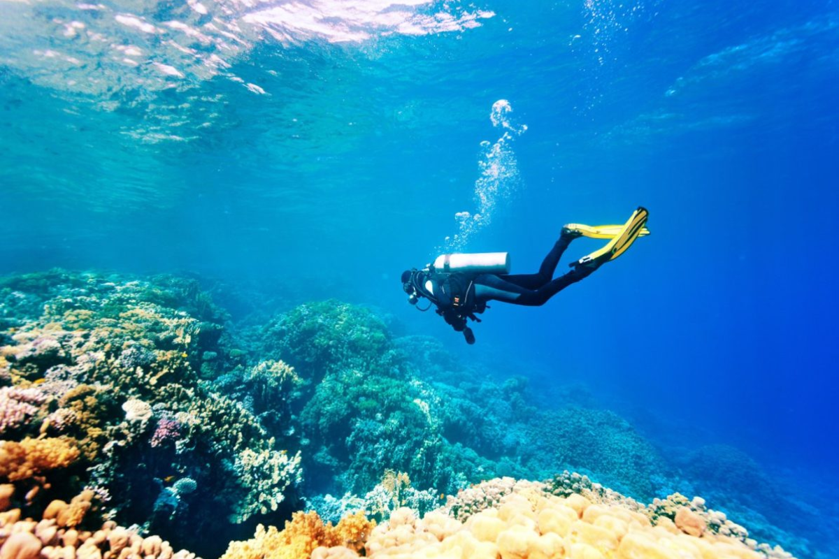 Tourists snorkeling in Phu Quoc with clear blue water