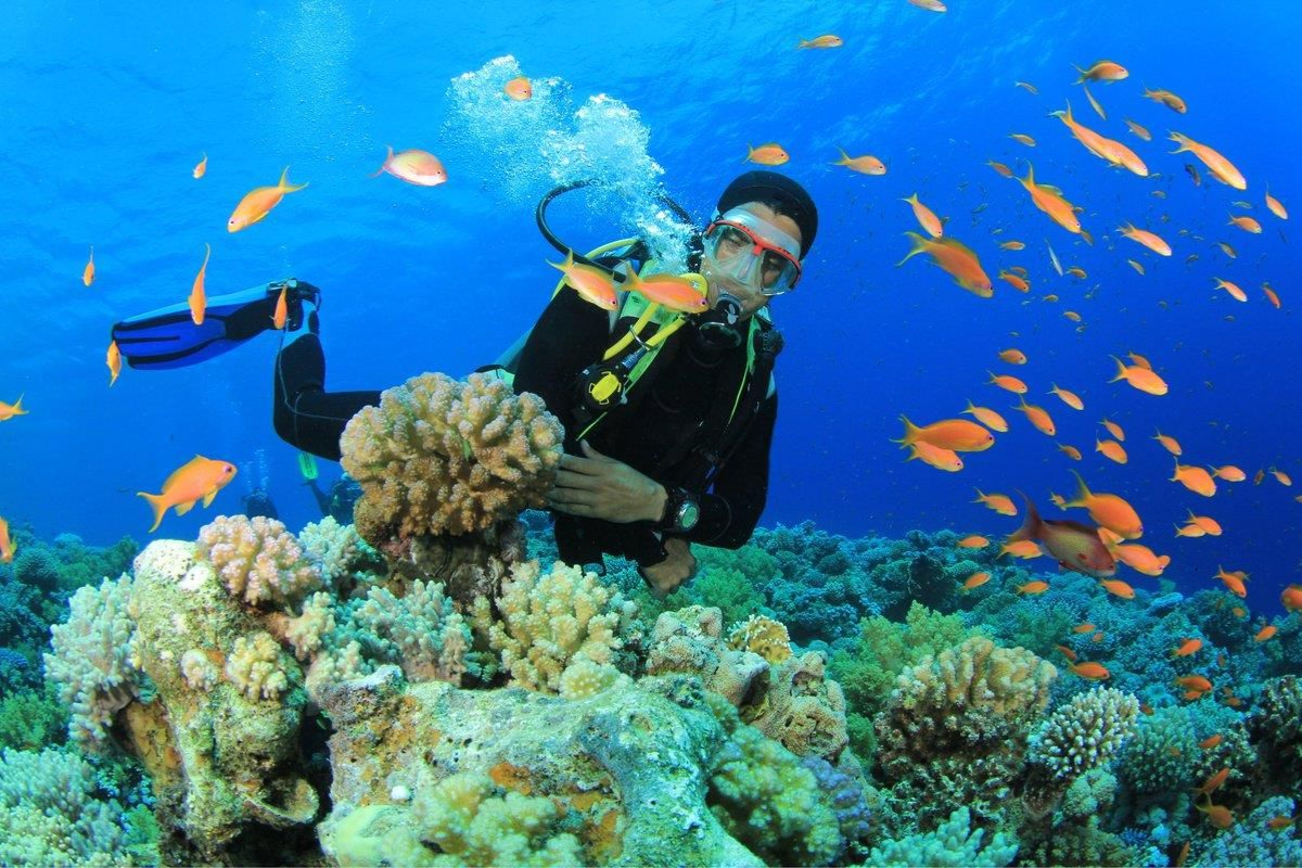 Snorkeling at Fingernail Island