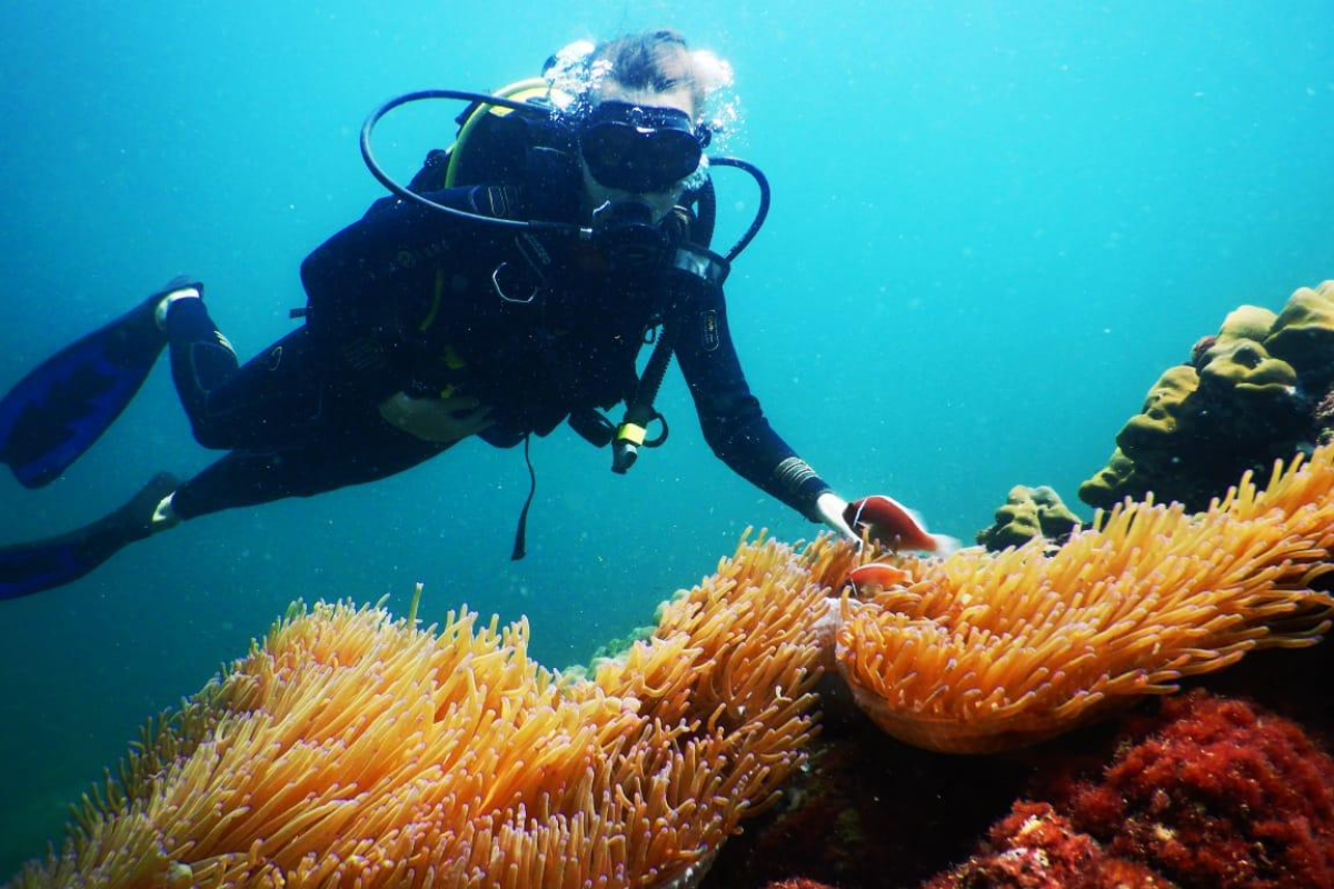 Scuba diving at Ong Lang Beach