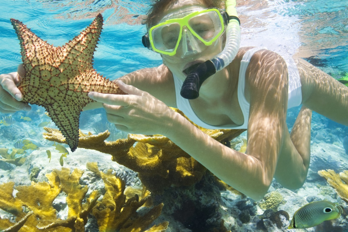 Snorkeling in the clear waters of Phu Quoc