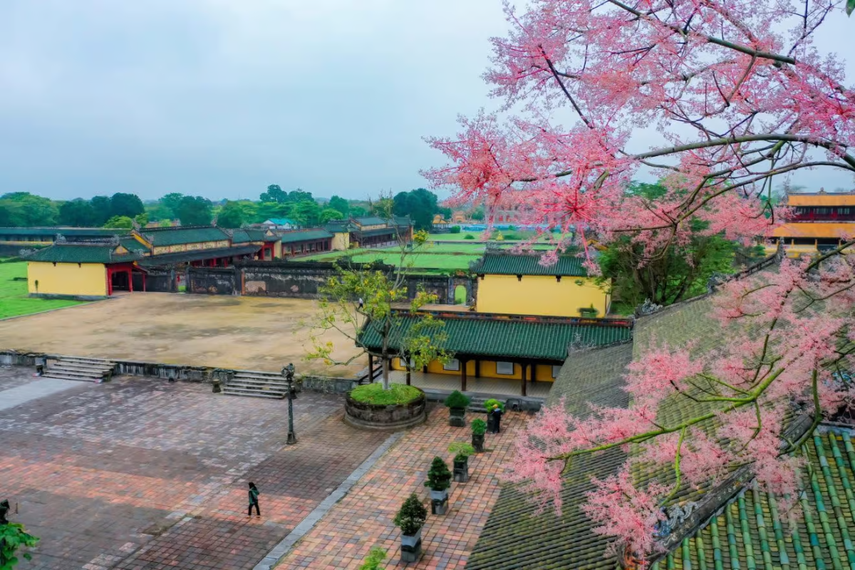 A tranquil street in Hue during spring with blooming flowers and soft sunlight