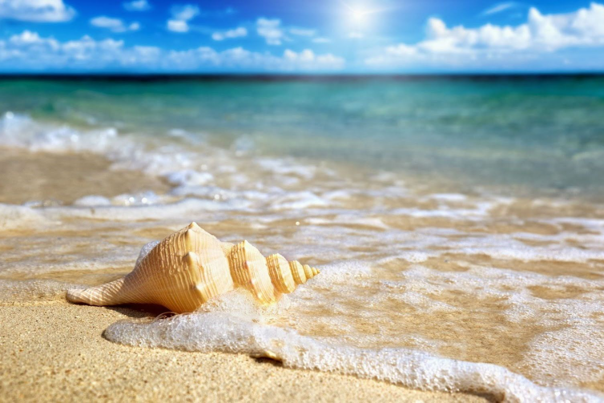 Starfish Beach in Phu Quoc