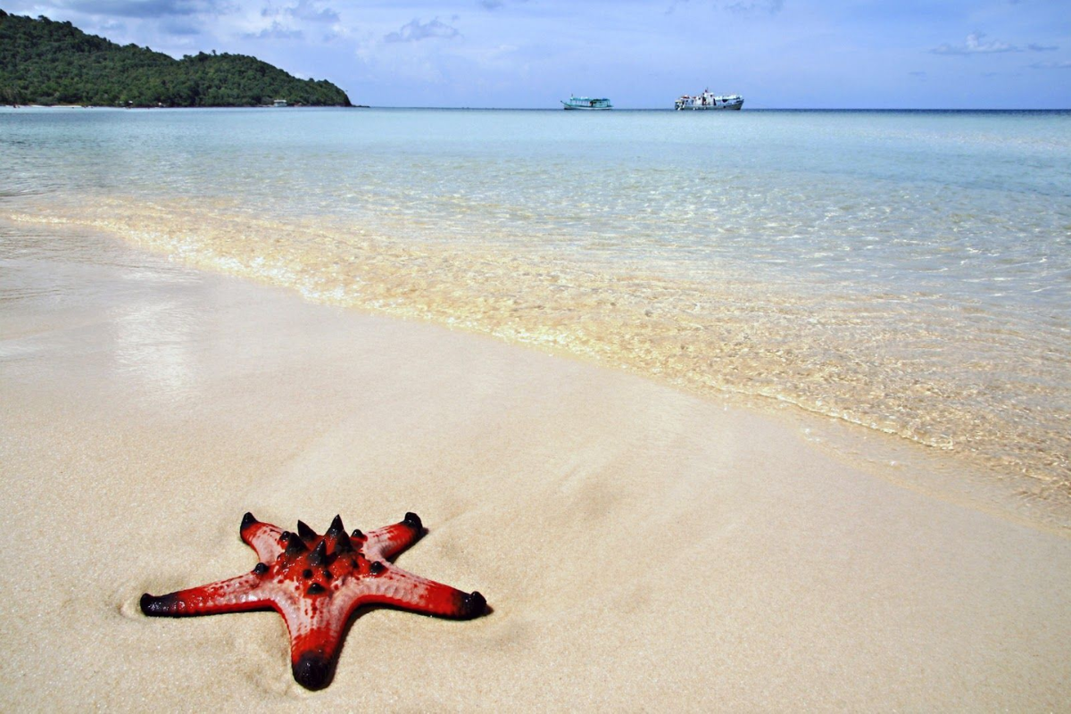 Starfish Beach with crystal-clear waters in Phu Quoc