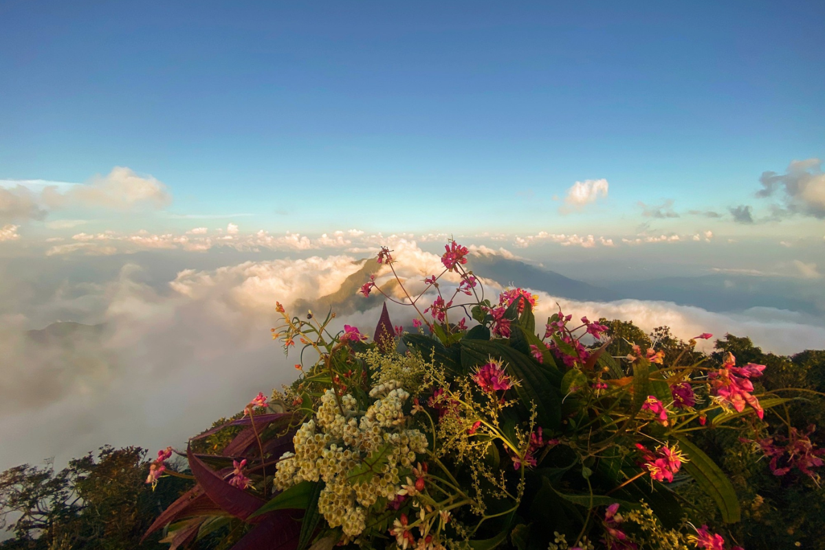Clouds rolling over Tay Con Linh peak