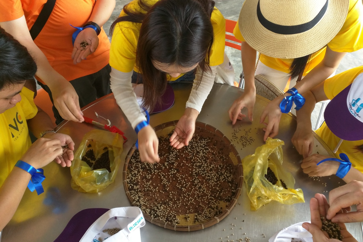 Phu Quoc pepper market