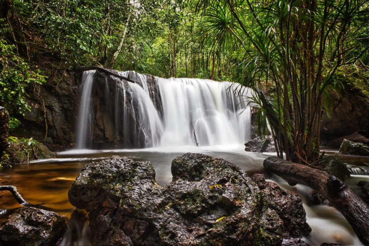 Tranquil Tranh Stream in Phu Quoc