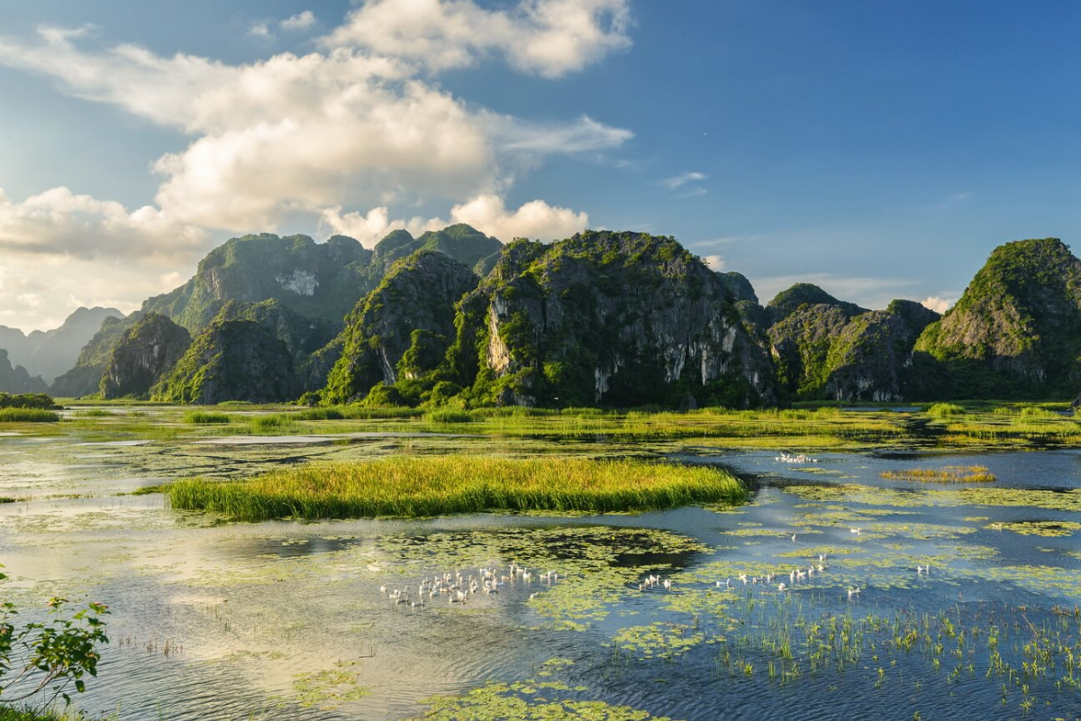 Van Long Nature Reserve